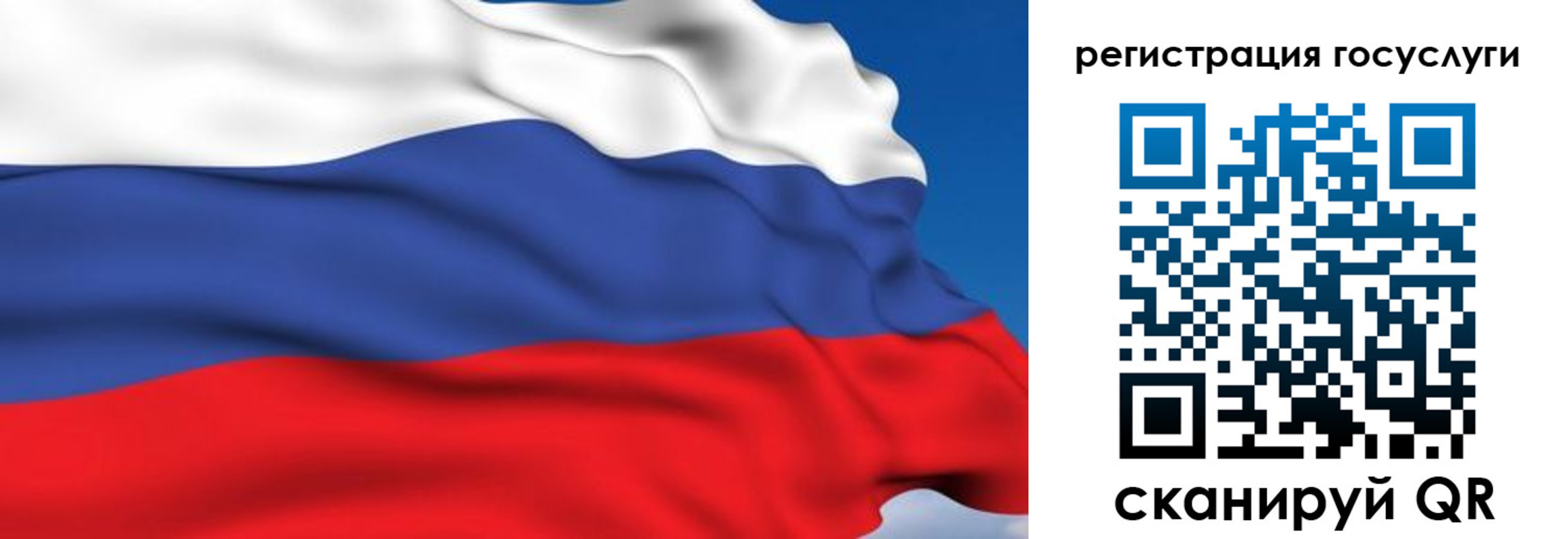 где прописаться в Мурино